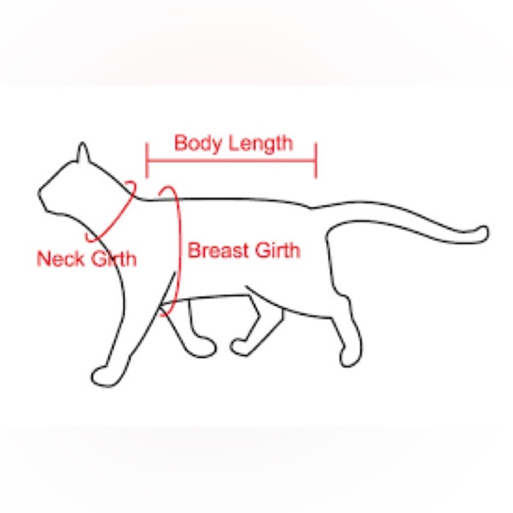 📏 Pet Measurement Guide 📏 - Picture 5 of 5